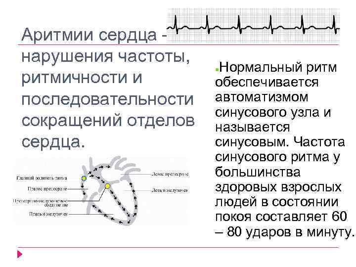 Аритмии сердца – нарушения частоты, ритмичности и последовательности сокращений отделов сердца. Нормальный ритм обеспечивается