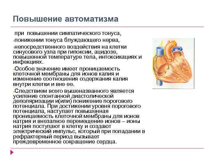 Повышение автоматизма при повышении симпатического тонуса, ●понижении тонуса блуждающего нерва, ●непосредственного воздействия на клетки