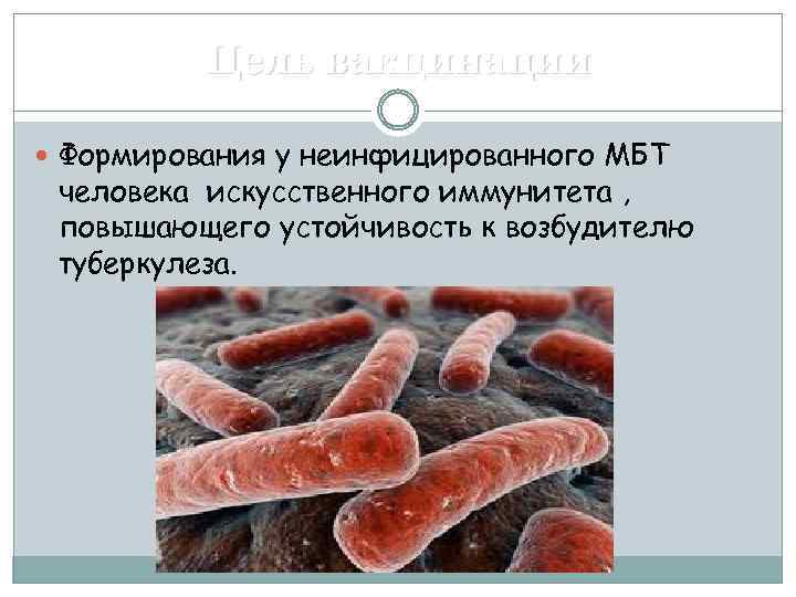 Цель вакцинации Формирования у неинфицированного МБТ человека искусственного иммунитета , повышающего устойчивость к возбудителю