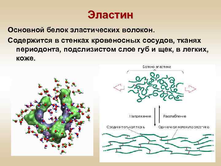 Межклеточный матрикс