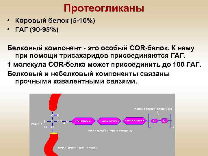 Схема синтеза протеогликанов