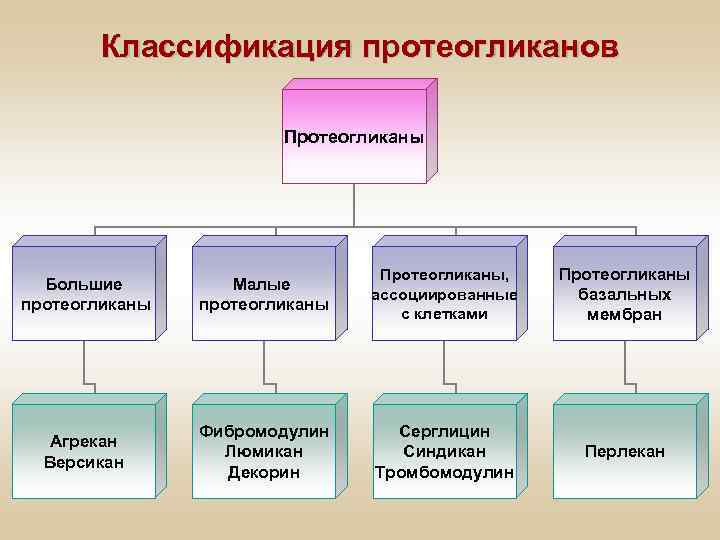 Классификация протеогликанов Протеогликаны Большие протеогликаны Малые протеогликаны Протеогликаны, ассоциированные с клетками Протеогликаны базальных мембран