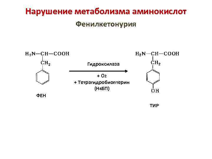 Нарушение метаболизма фенилаланина. Фенилкетонурия схема биохимия. Превращение фенилаланина в тирозин при фенилкетонурии. Причины фенилкетонурии биохимия. Метаболизм фенилаланина фенилкетонурия.