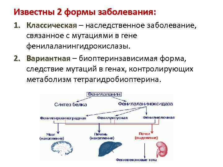 Известны 2 формы заболевания: 1. Классическая – наследственное заболевание, связанное с мутациями в гене