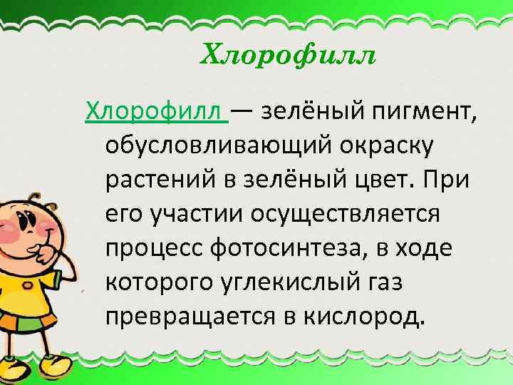 Хлорофилл — зелёный пигмент, обусловливающий окраску растений в зелёный цвет. При его участии осуществляется