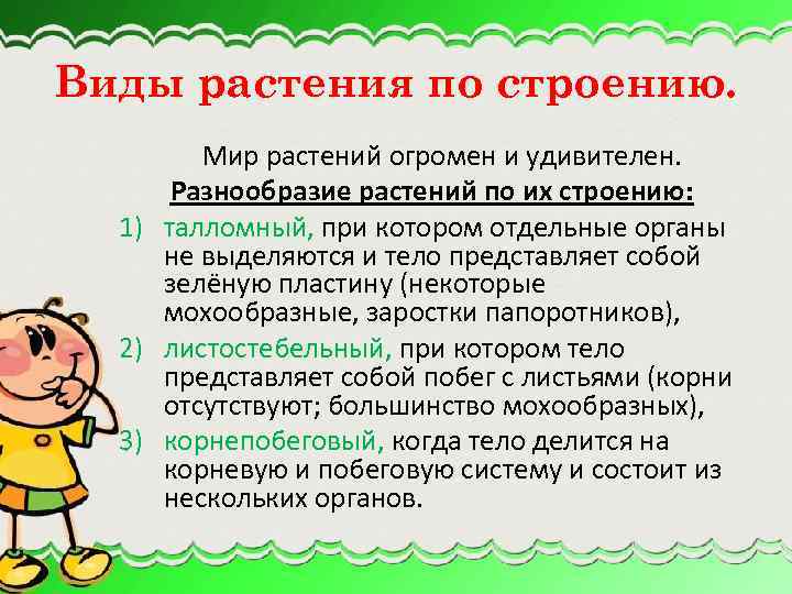Виды растения по строению. Мир растений огромен и удивителен. Разнообразие растений по их строению: