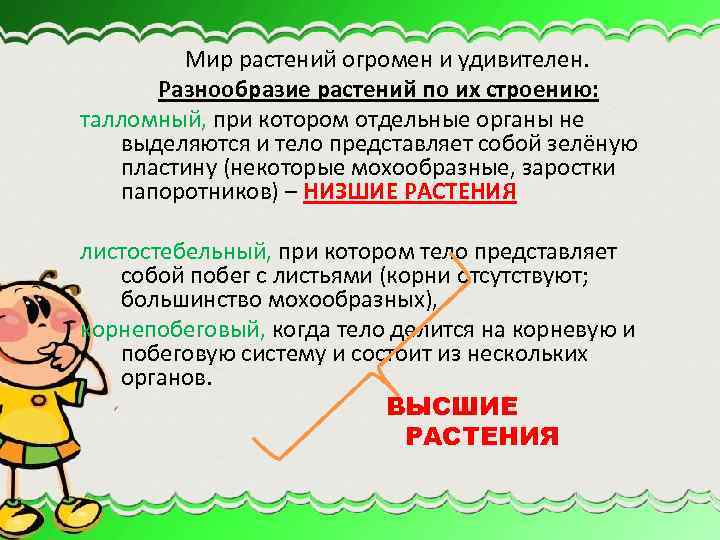  Мир растений огромен и удивителен. Разнообразие растений по их строению: талломный, при котором