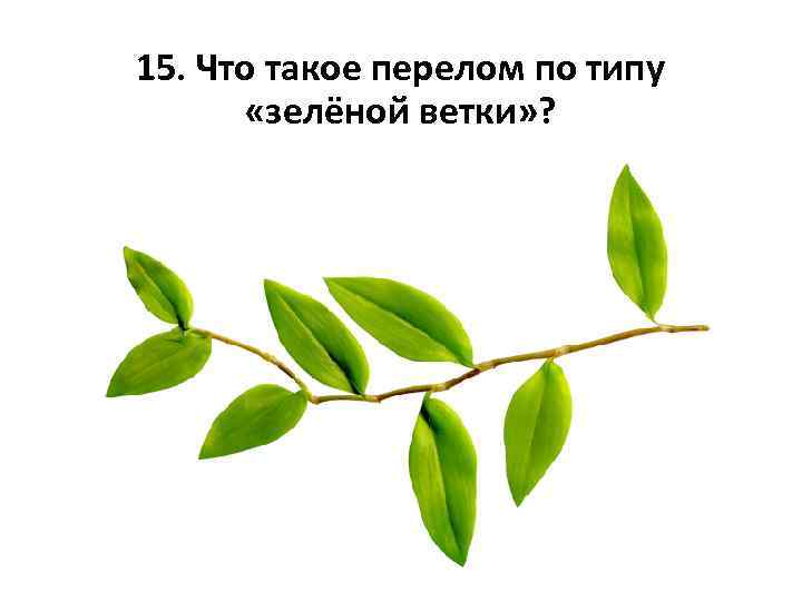 15. Что такое перелом по типу «зелёной ветки» ? 