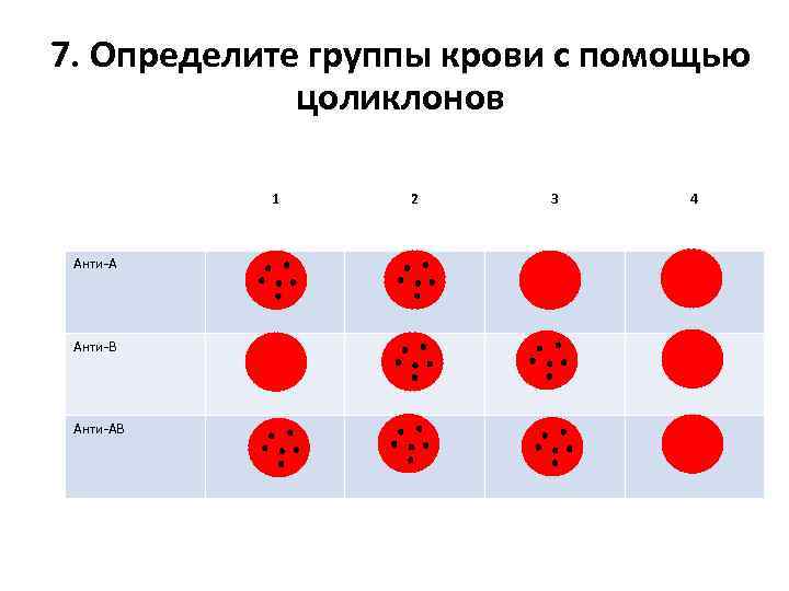 7. Определите группы крови с помощью цоликлонов 1 Анти-А Анти-В Анти-АВ 2 3 4