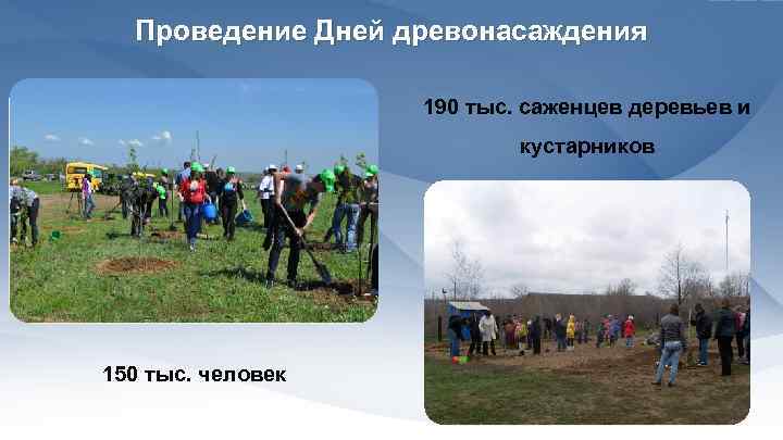 Проведение Дней древонасаждения 190 тыс. саженцев деревьев и кустарников 150 тыс. человек 
