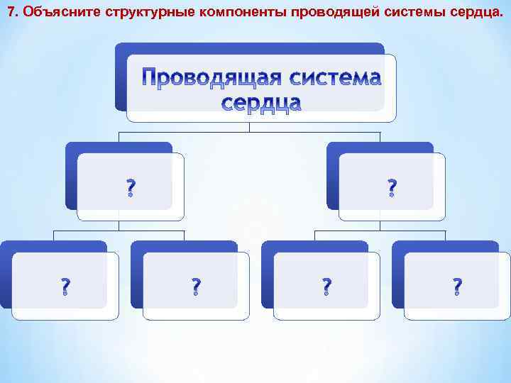 7. Объясните структурные компоненты проводящей системы сердца. 