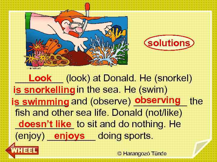 solutions _____ (look) at Donald. He (snorkel) Look ______ in the sea. He (swim)