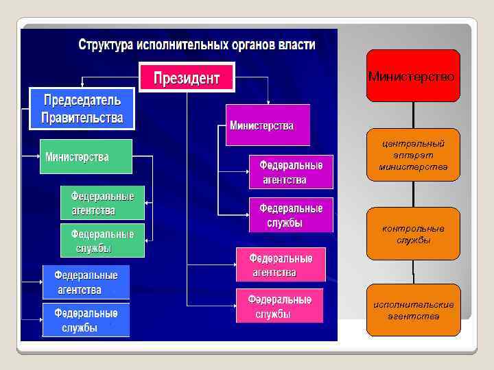 Структура власти