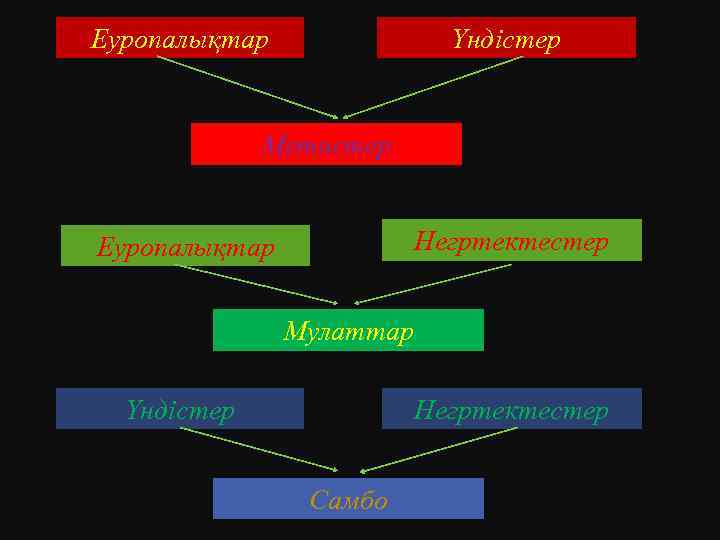 Еуропалықтар Үндістер Метистер Негртектестер Еуропалықтар Мулаттар Үндістер Негртектестер Самбо 