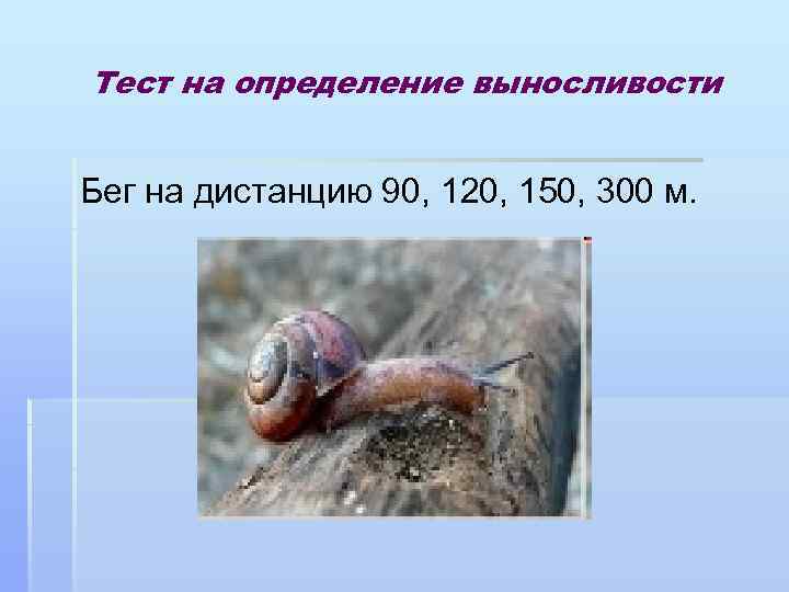 Тест на определение выносливости Бег на дистанцию 90, 120, 150, 300 м. 