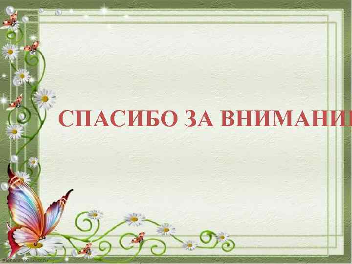 СПАСИБО ЗА ВНИМАНИЕ 