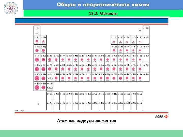 Общая и неорганическая химия 12. 2. Металлы Факультет экономики и менеджмента Атомные радиусы элементов