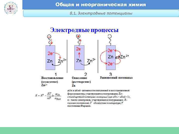 Общая и неорганическая химия 8. 1. Электродные потенциалы Факультет экономики и менеджмента 