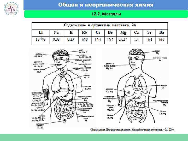 Общая и неорганическая химия 12. 2. Металлы Факультет экономики и менеджмента 