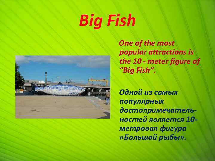 Big Fish One of the most popular attractions is the 10 - meter figure