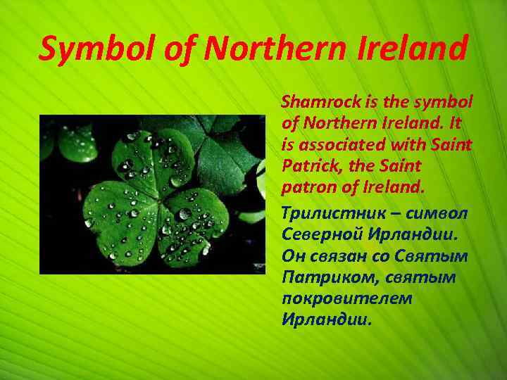 Symbol of Northern Ireland Shamrock is the symbol of Northern Ireland. It is associated