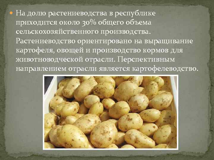  На долю растениеводства в республике приходится около 30% общего объема сельскохозяйственного производства. Растениеводство