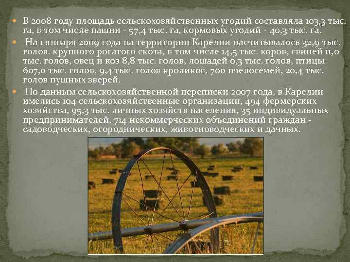  В 2008 году площадь сельскохозяйственных угодий составляла 103, 3 тыс. га, в том