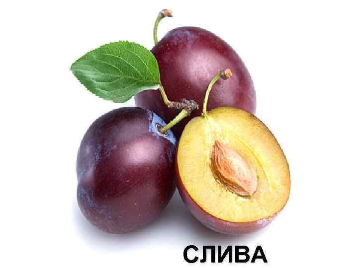 СЛИВА 