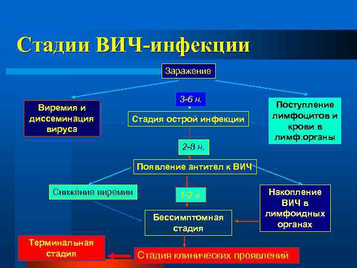 Стадии ВИЧ-инфекции Заражение Виремия и диссеминация вируса 3 -6 н. Стадия острой инфекции Поступление