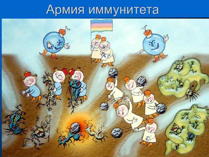 Армия иммунитета 