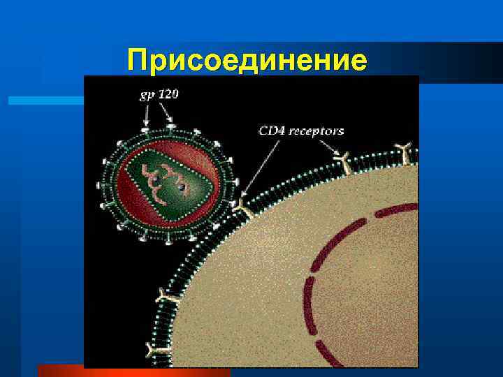Присоединение 