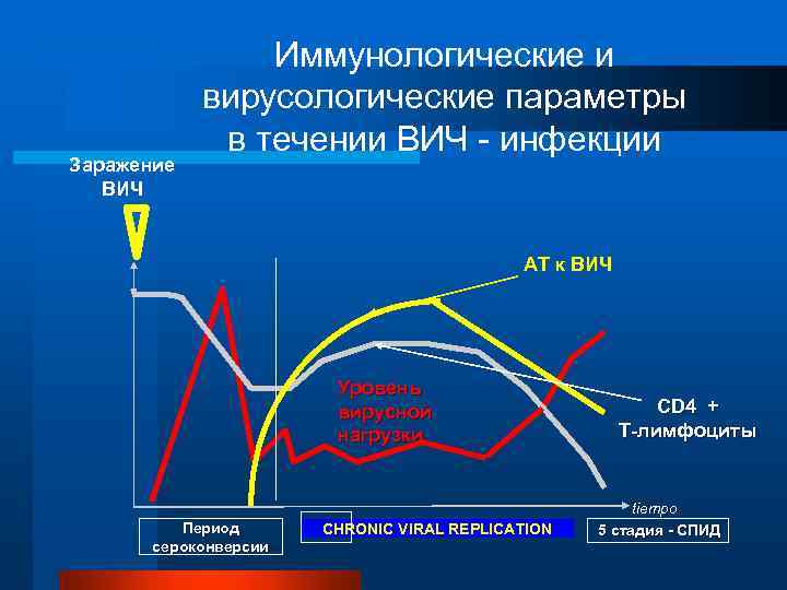 Заражение ВИЧ Иммунологические и вирусологические параметры в течении ВИЧ - инфекции АТ к ВИЧ