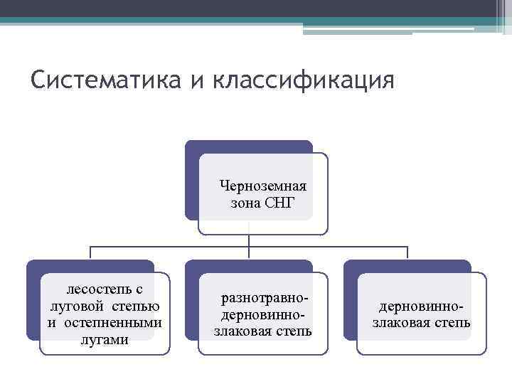 Систематика и классификация Черноземная зона СНГ лесостепь с луговой степью и остепненными лугами разнотравнодерновиннозлаковая