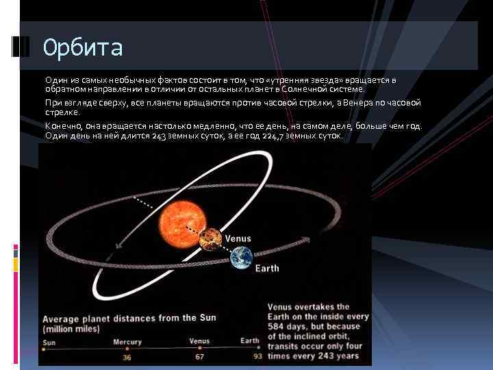 Орбита Один из самых необычных фактов состоит в том, что «утренняя звезда» вращается в