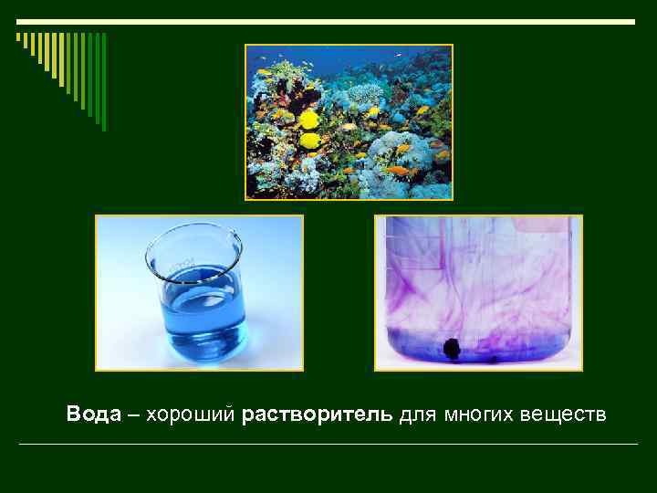 Вода – хороший растворитель для многих веществ Вода – хороший растворитель. В ней растворяются