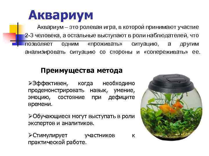 Аквариум – это ролевая игра, в которой принимают участие 2 -3 человека, а остальные