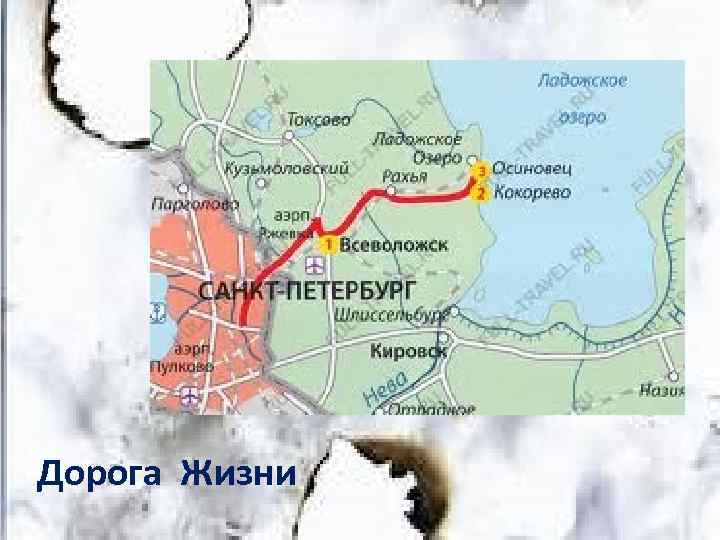 Дорога Жизни 