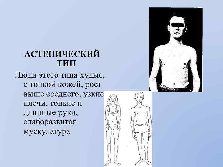 АСТЕНИЧЕСКИЙ ТИП Люди этого типа худые, с тонкой кожей, рост выше среднего, узкие плечи,