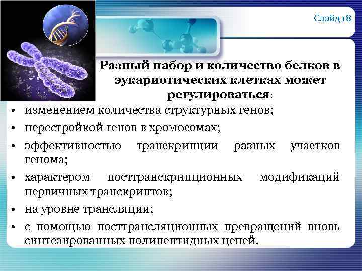Слайд 18 Разный набор и количество белков в эукариотических клетках может регулироваться: • изменением