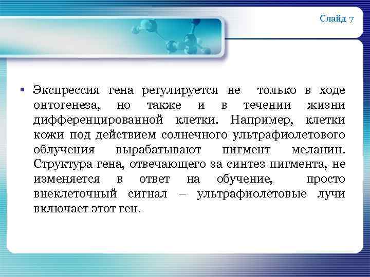 Слайд 7 § Экспрессия гена регулируется не только в ходе онтогенеза, но также и