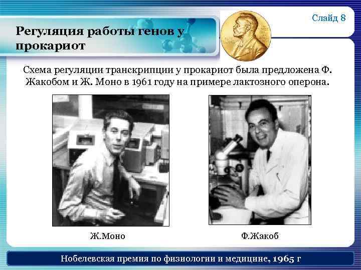 Слайд 8 Регуляция работы генов у прокариот Схема регуляции транскрипции у прокариот была предложена