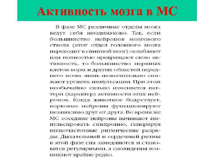 Активность мозга в МС 