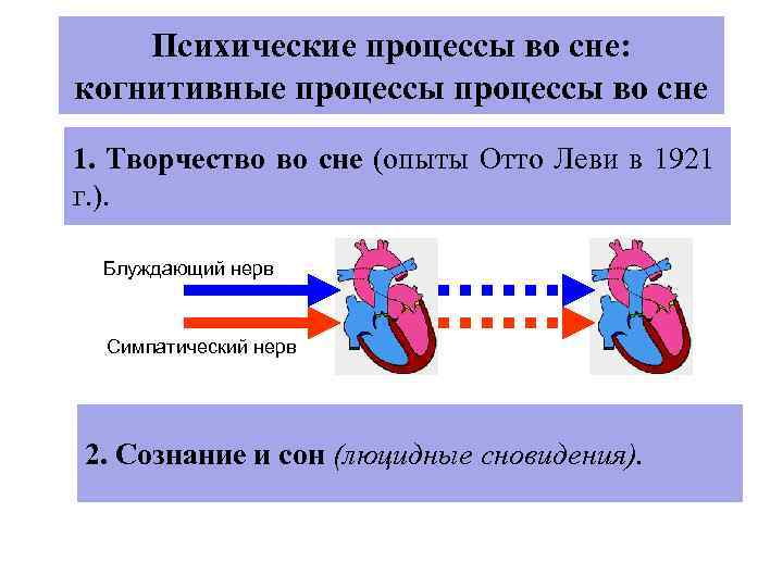 Психические процессы во сне: когнитивные процессы во сне 1. Творчество во сне (опыты Отто