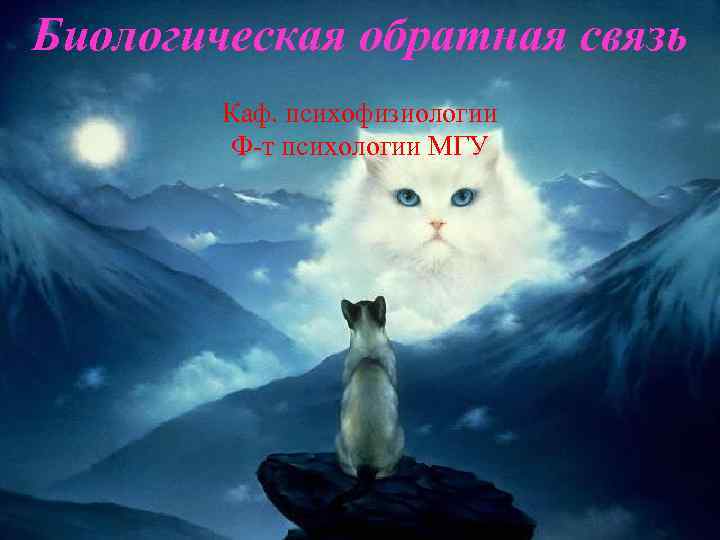 Биологическая обратная связь Каф. психофизиологии Ф т психологии МГУ 