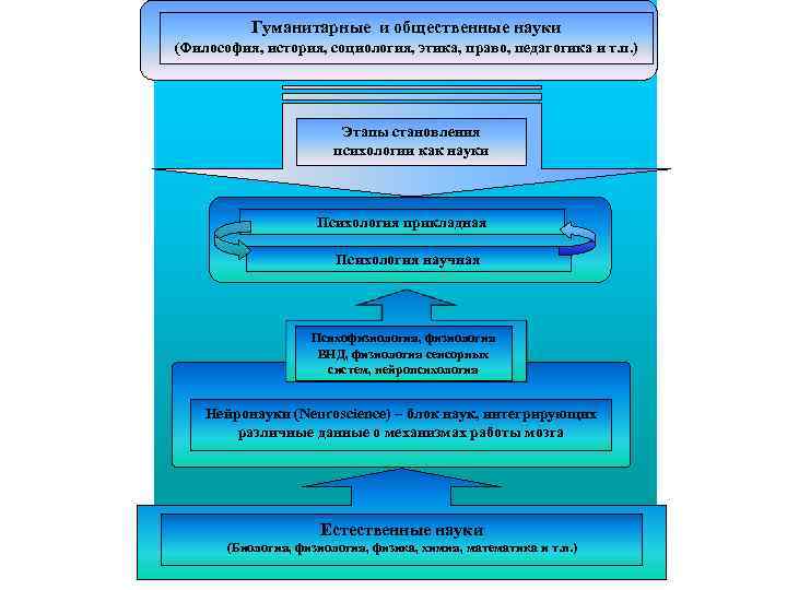 Гуманитарные и общественные науки (Философия, история, социология, этика, право, педагогика и т. п. )