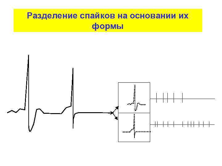 Разделение спайков на основании их формы 