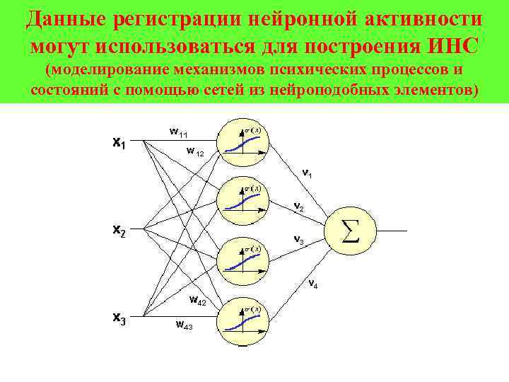 Данные регистрации нейронной активности могут использоваться для построения ИНС (моделирование механизмов психических процессов и