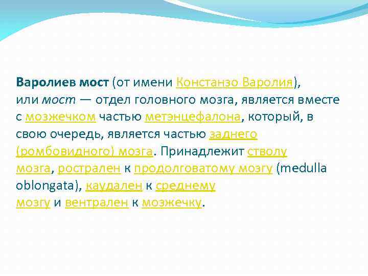 Варолиев мост (от имени Констанзо Варолия), или мост — отдел головного мозга, является вместе