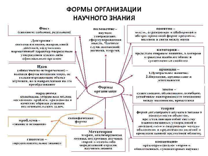 ФОРМЫ ОРГАНИЗАЦИИ НАУЧНОГО ЗНАНИЯ 