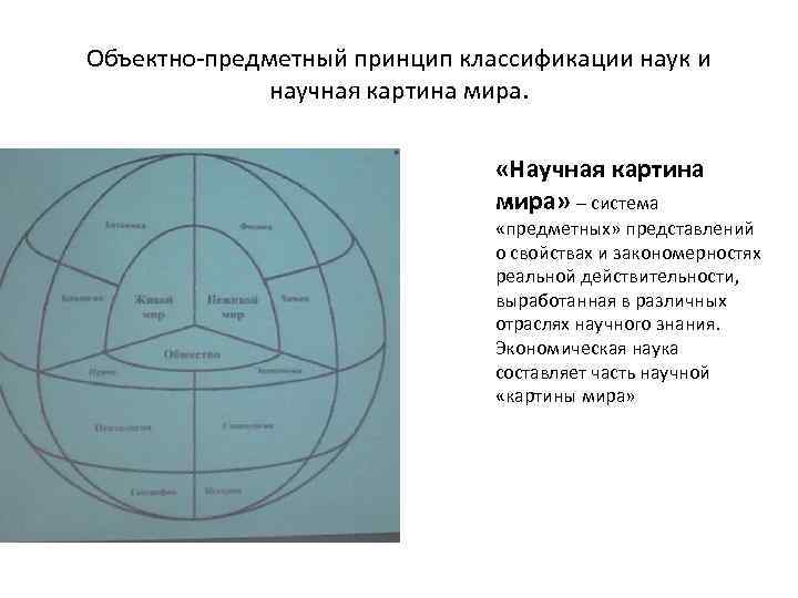 Объектно-предметный принцип классификации наук и научная картина мира. «Научная картина мира» – система «предметных»